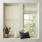 Birch Ivory