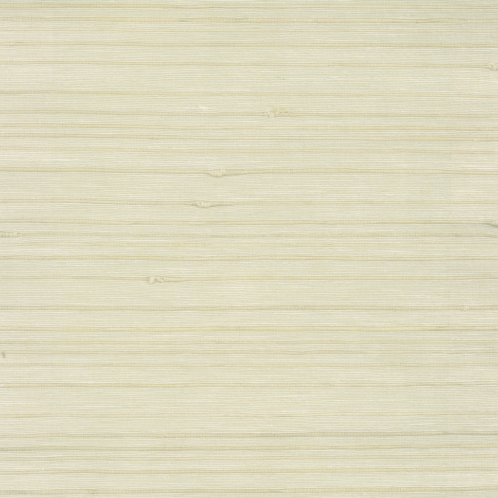 Birch Ivory