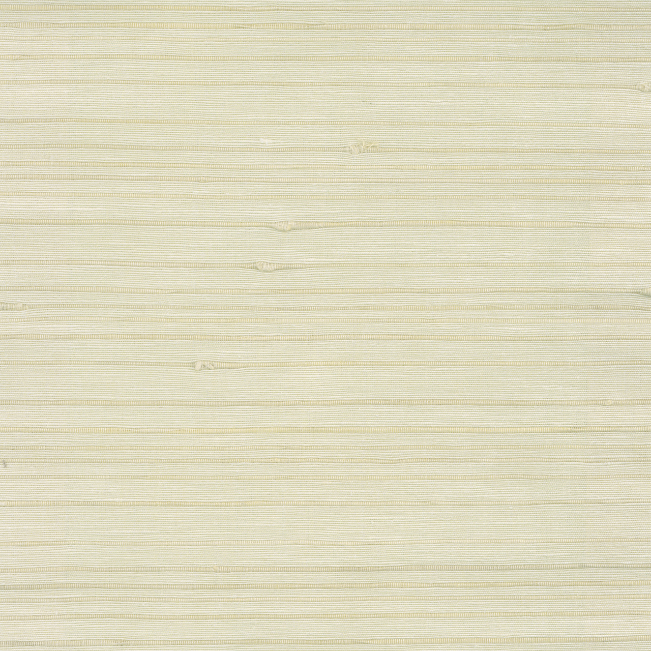 Birch Ivory