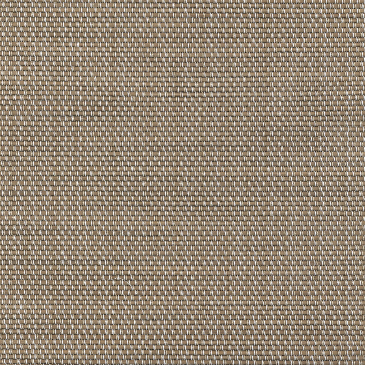 Elias Wheat