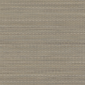 Haze Rattan