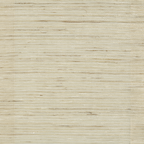 Finch Brown-grey
