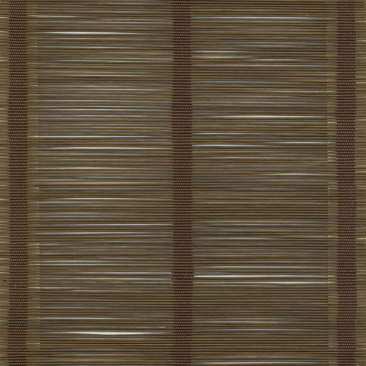 Wynn Chestnut
