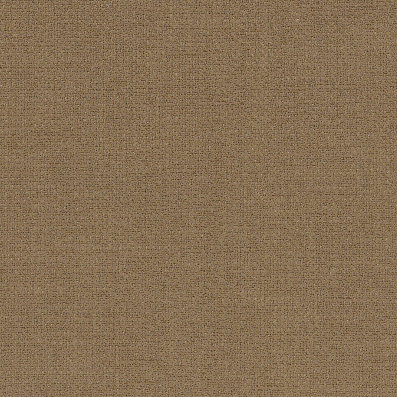 Calla Camel Brown