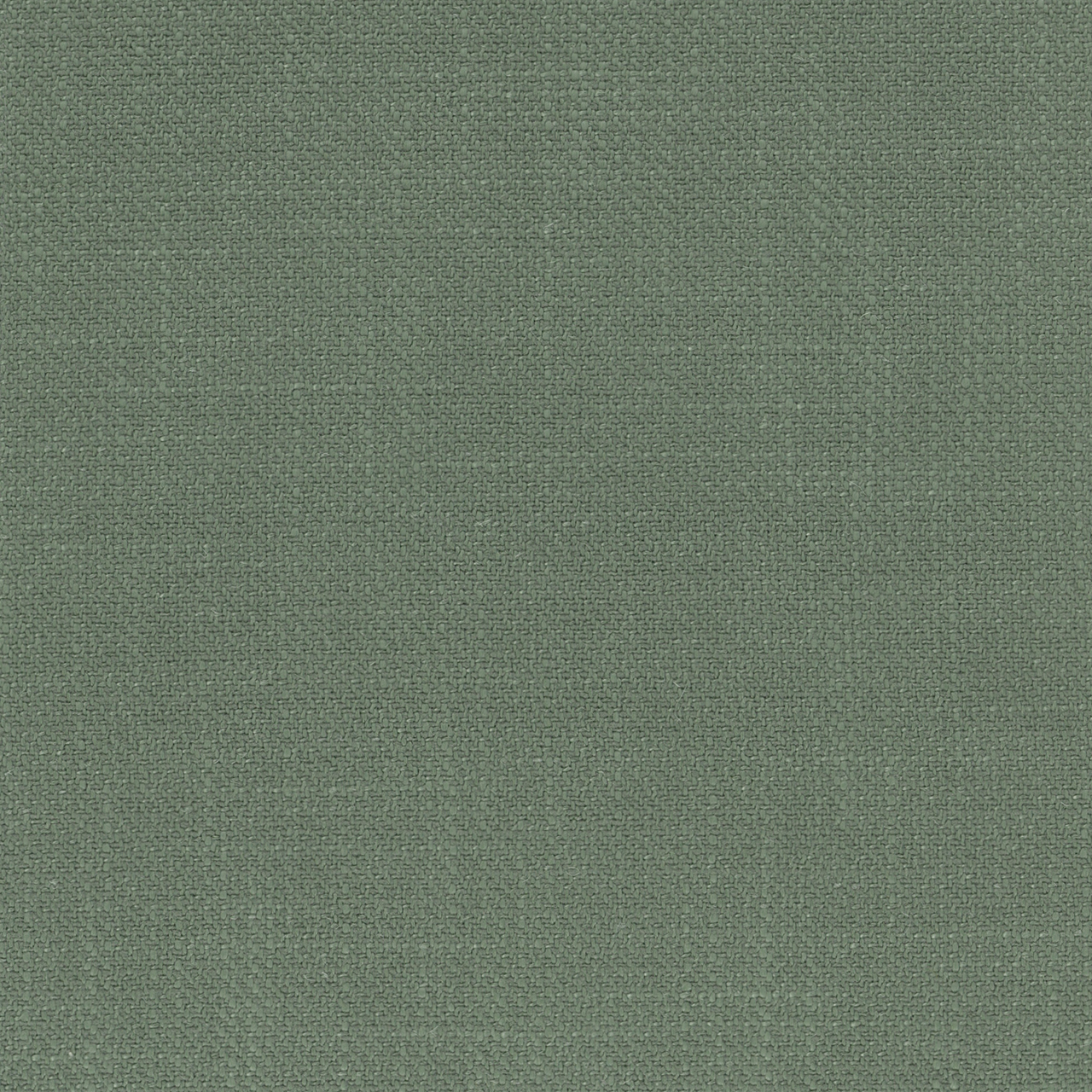 Calla Greyish Green