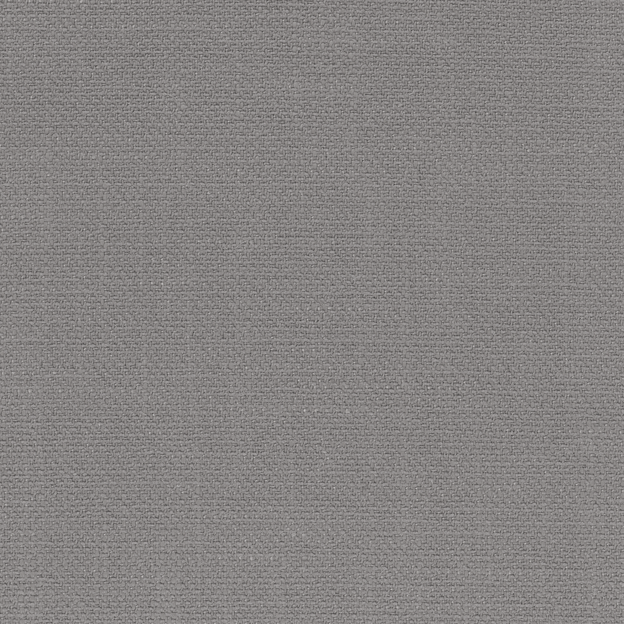 Calla Mocha Grey