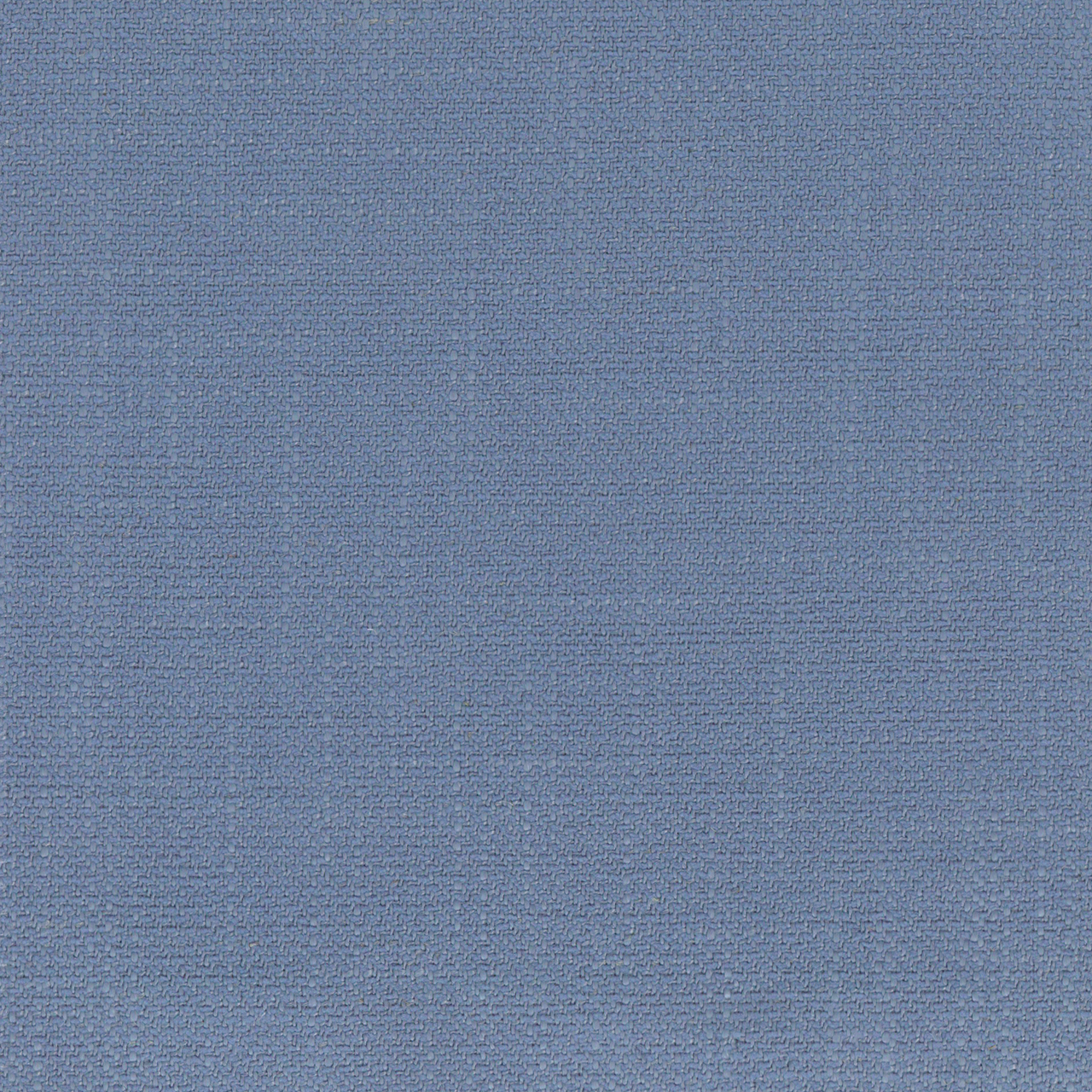 Calla Sky Blue