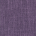 Iris Grape Purple