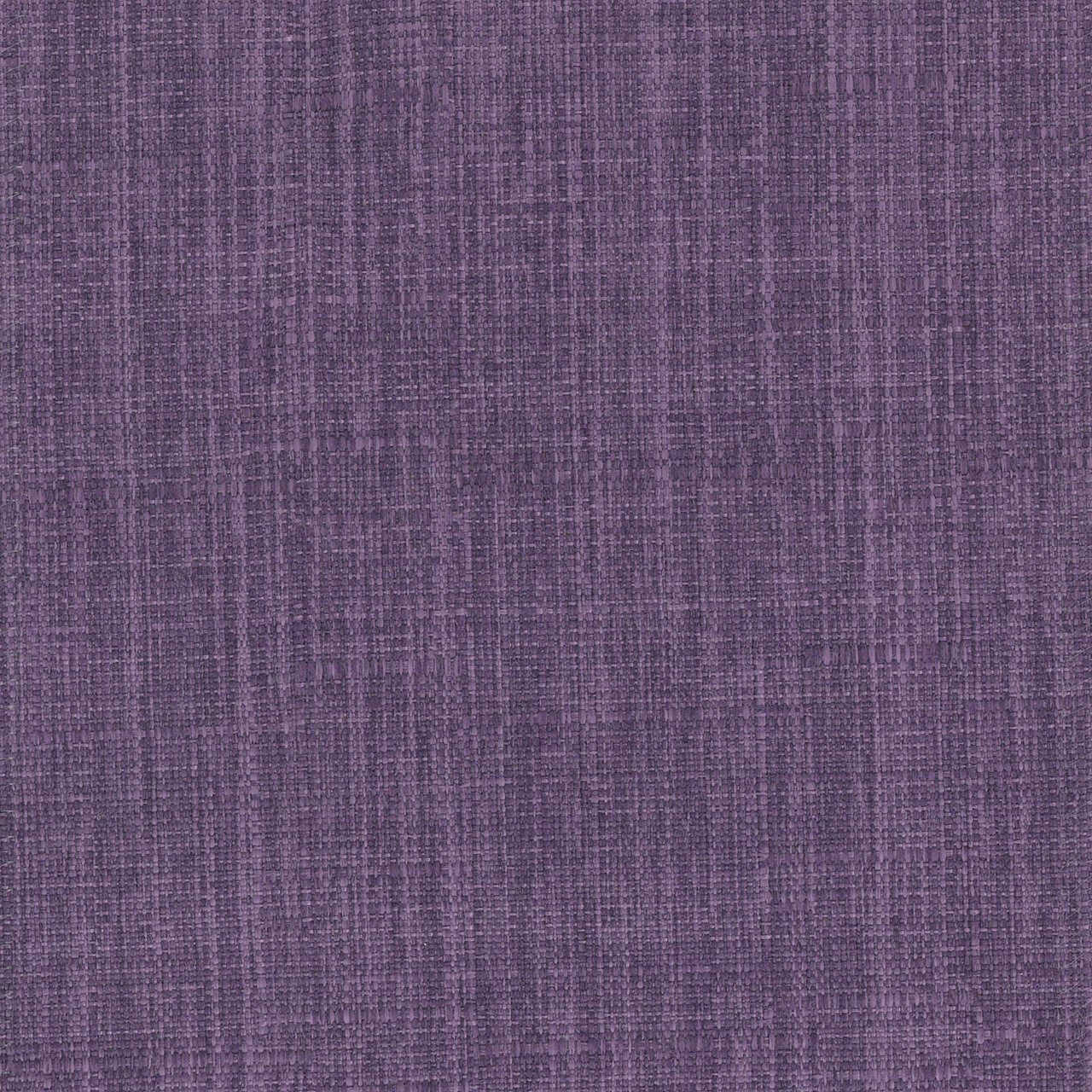 Iris Grape Purple