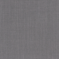 Aster Charcoal