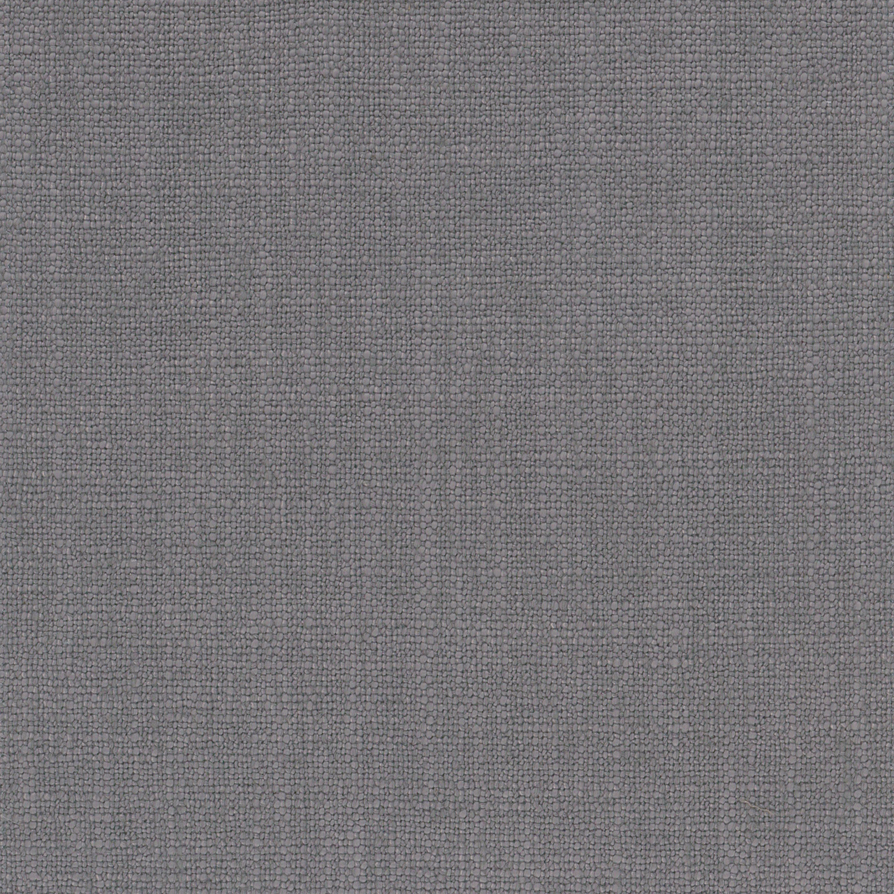 Aster Charcoal