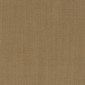 Aster Caramel
