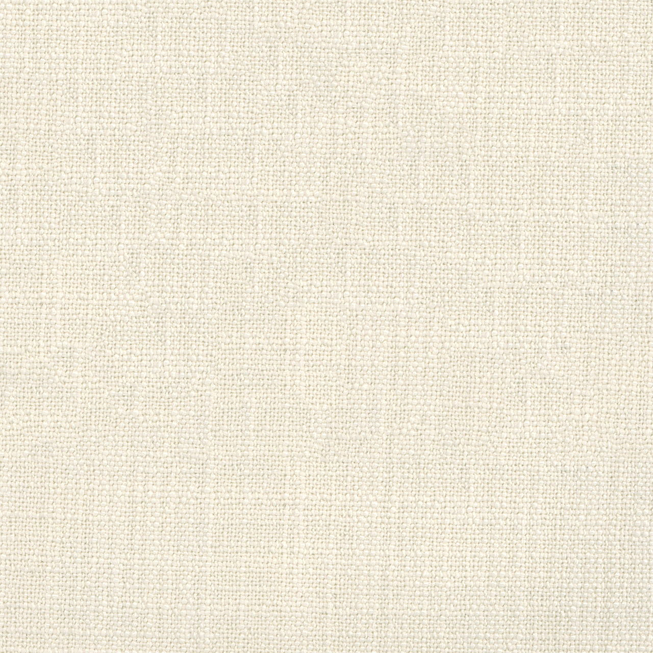 Aster Cream