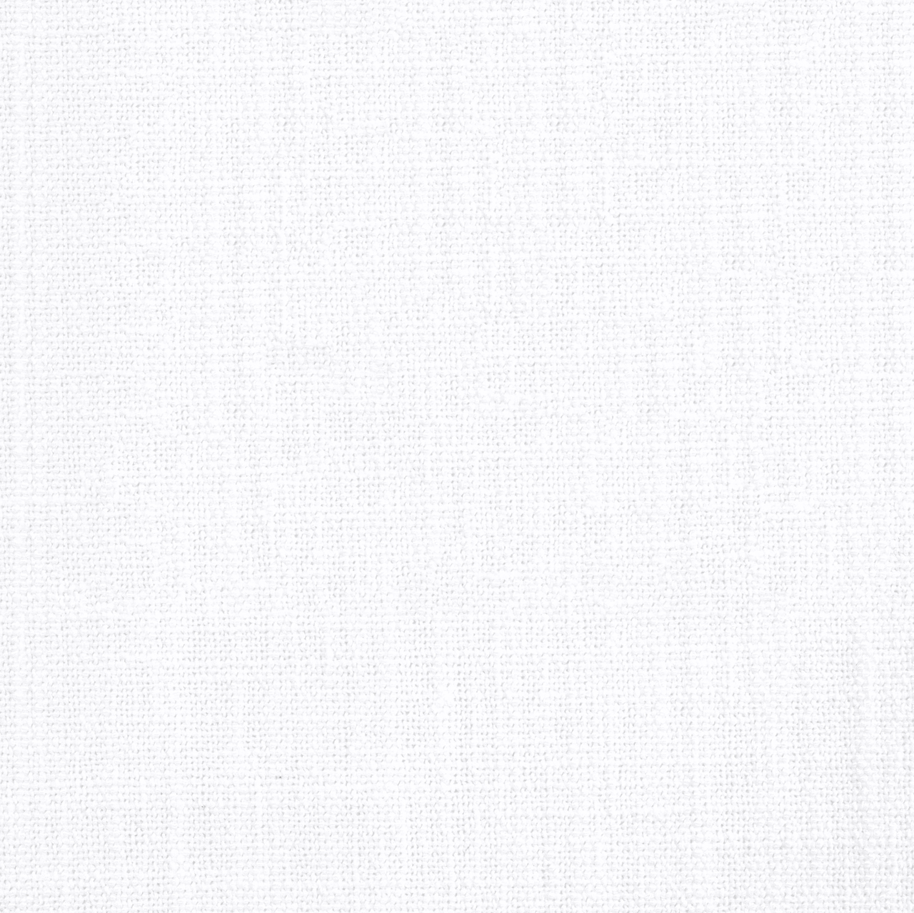 Aster White
