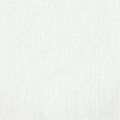 Aster Chalk White