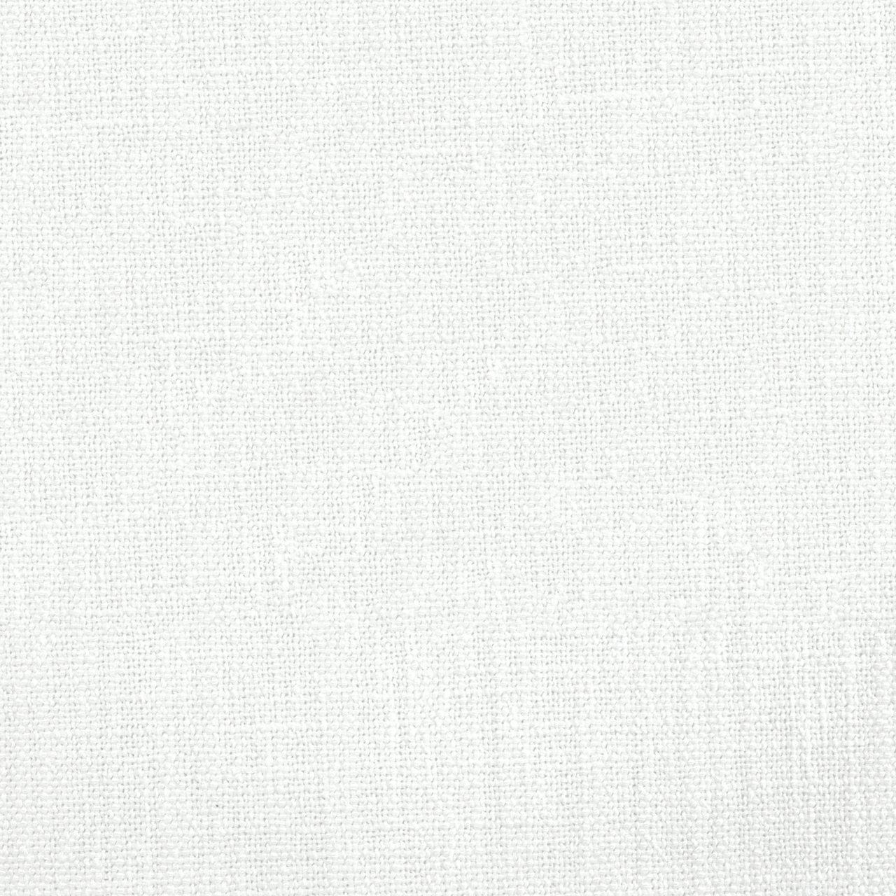 Aster Chalk White