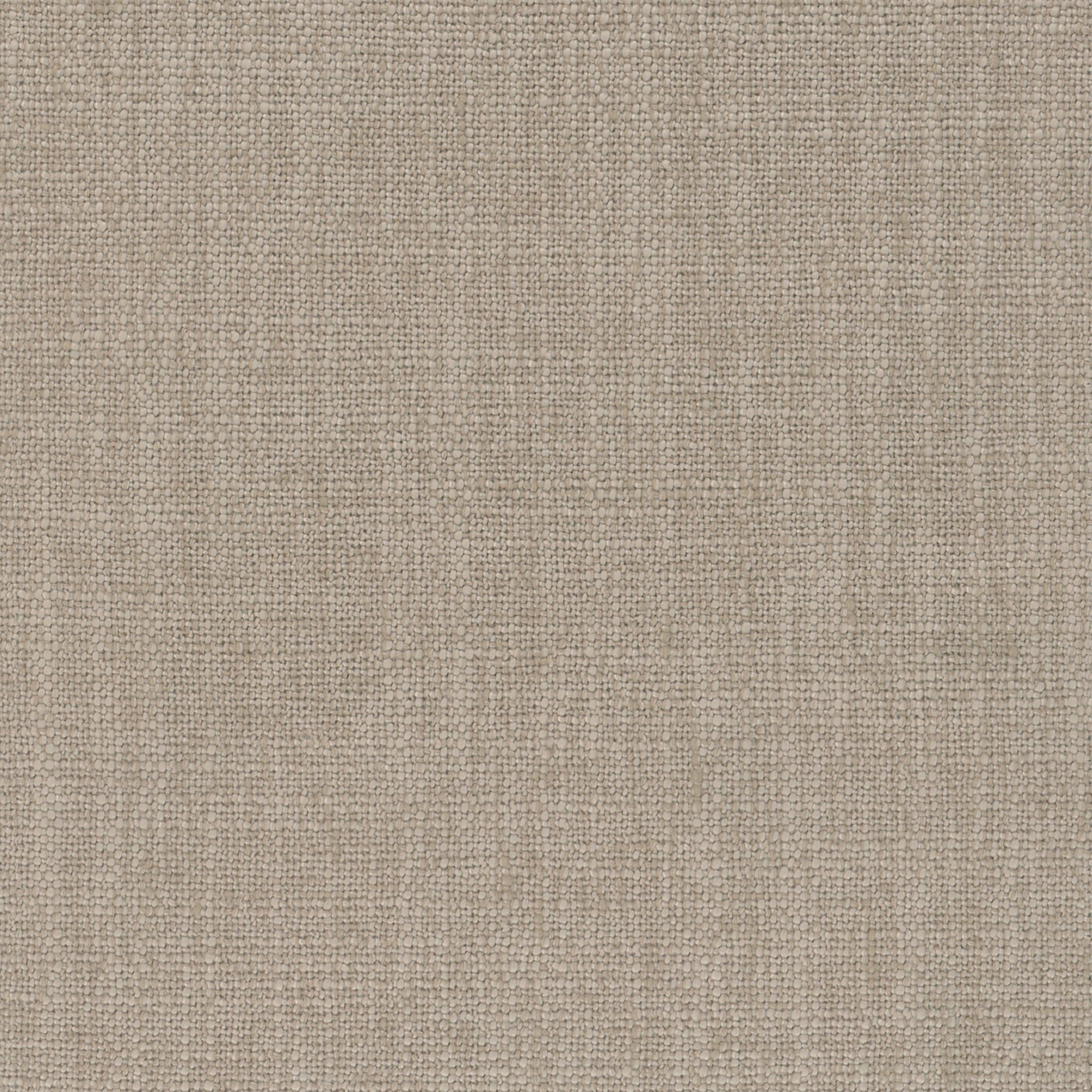Aster Taupe