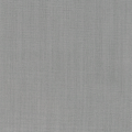 Aster Silver Grey