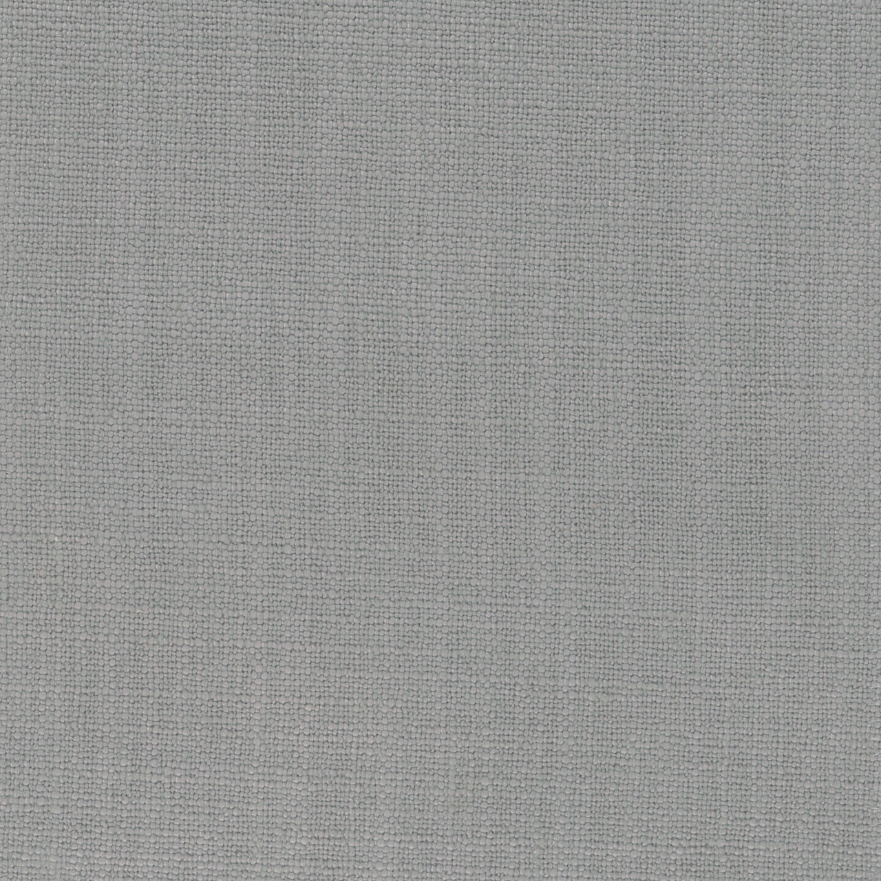 Aster Silver Grey