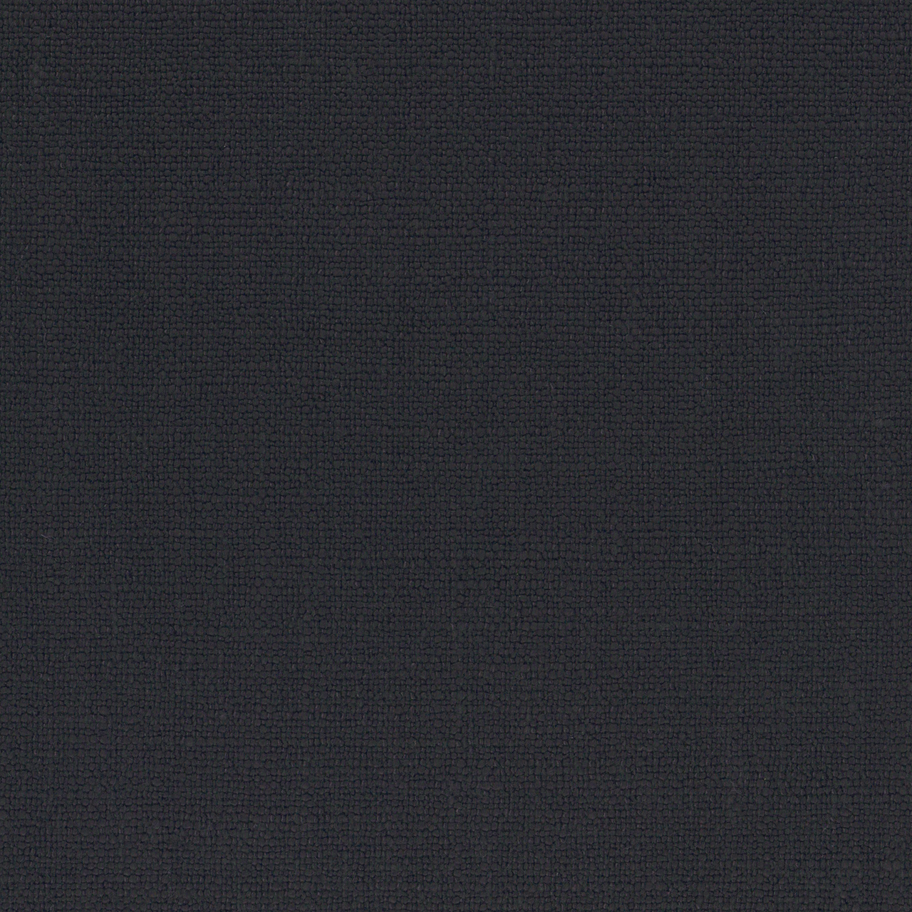 Aster Black