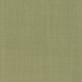 Aster Celadon
