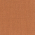 Aster Burnt Orange