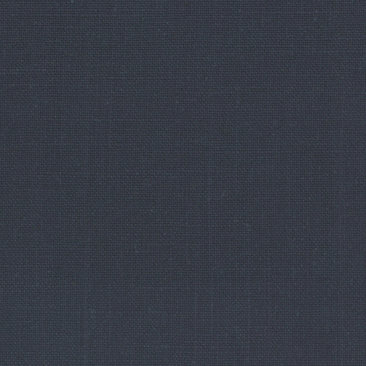 Willow Charcoal