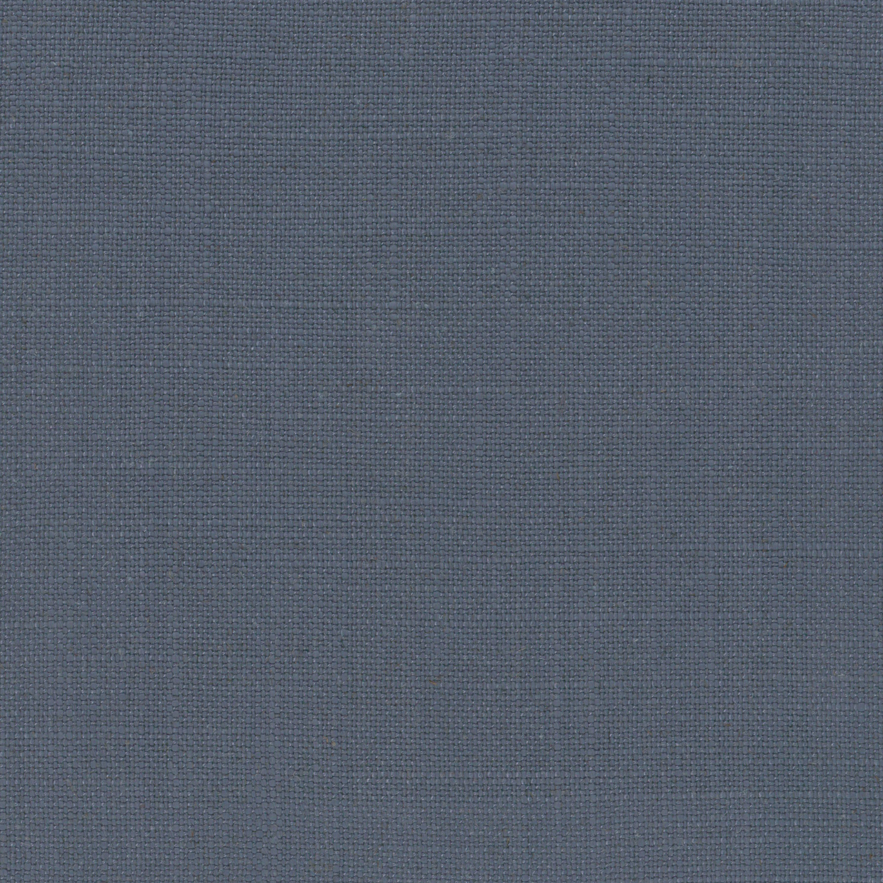 Willow Denim