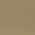 Willow Camel