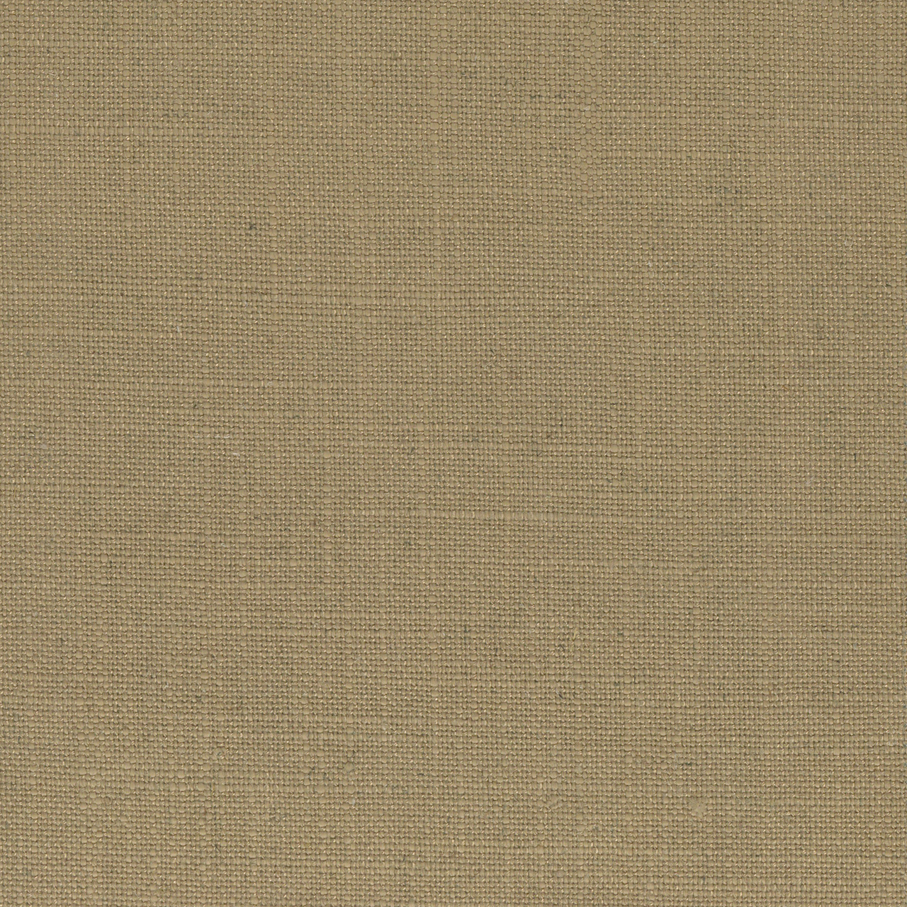 Willow Camel