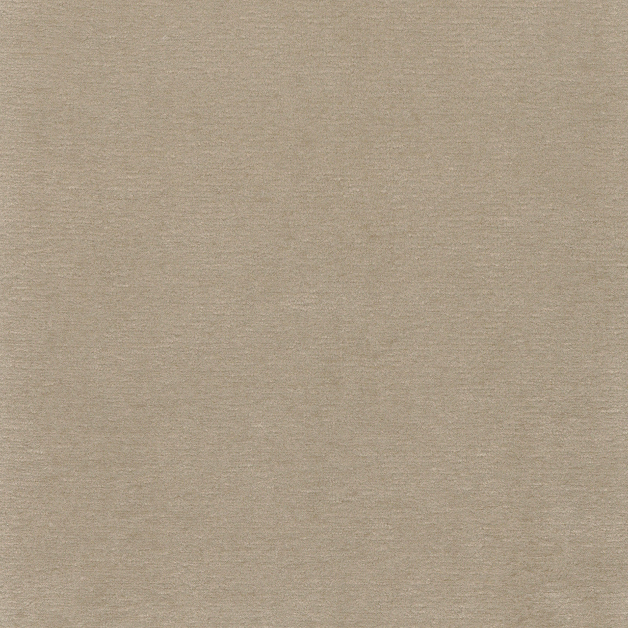 Tansy Khaki