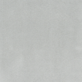 Tansy Ash White