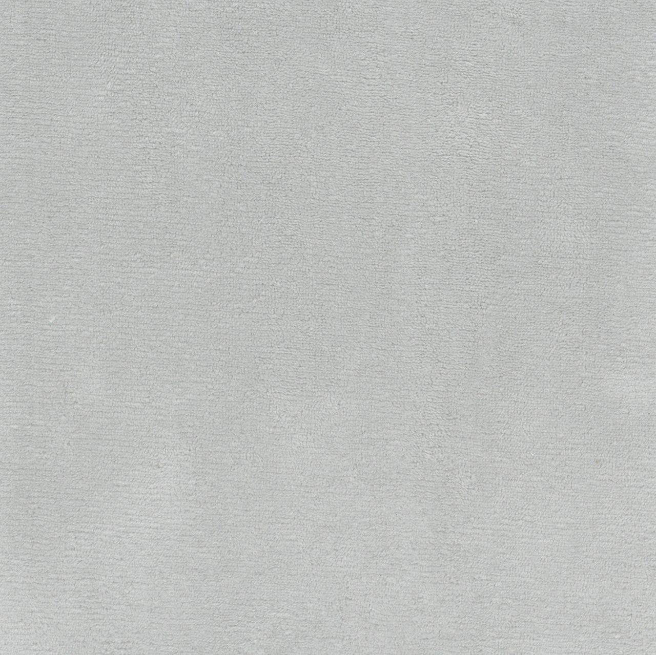 Tansy Ash White