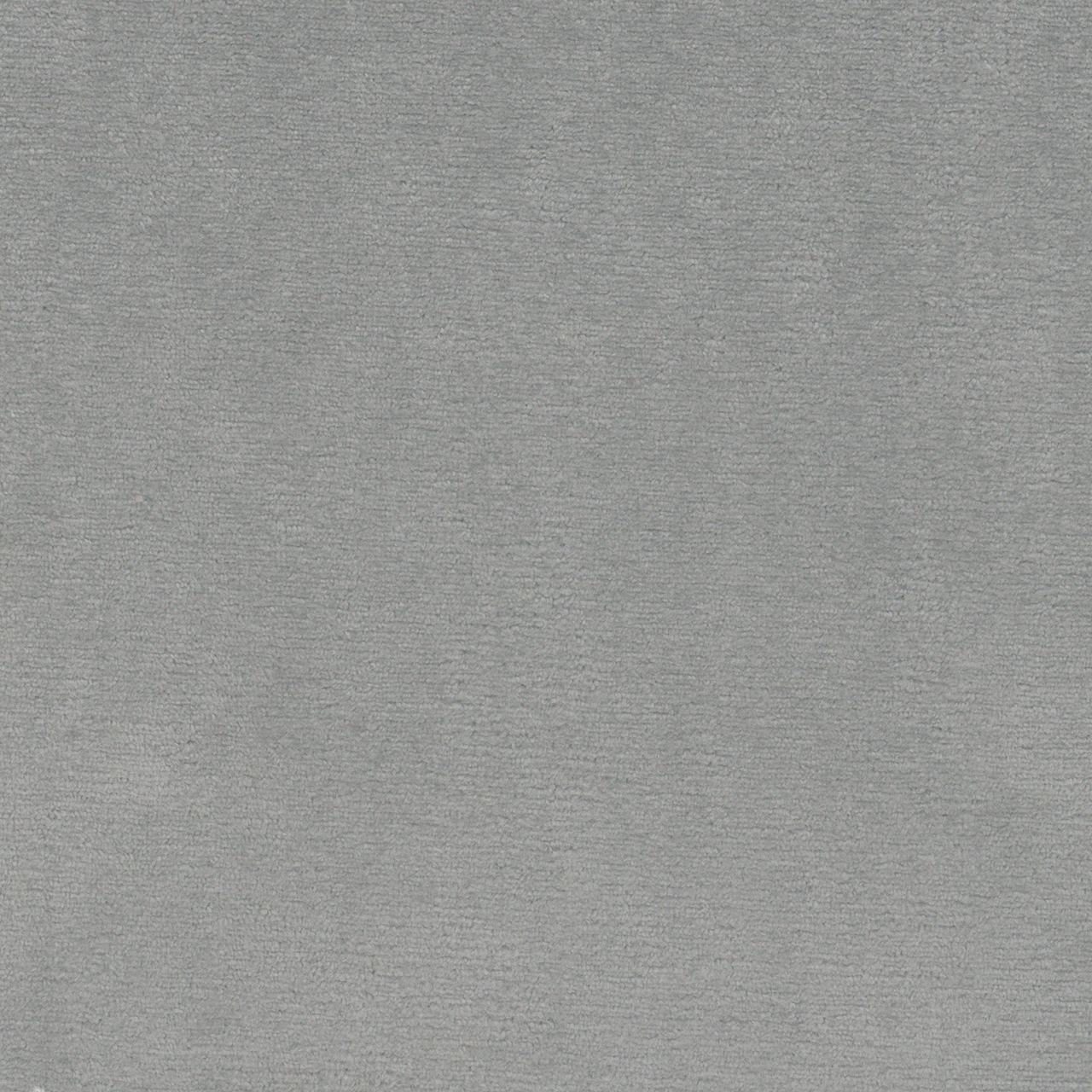 Tansy Grey