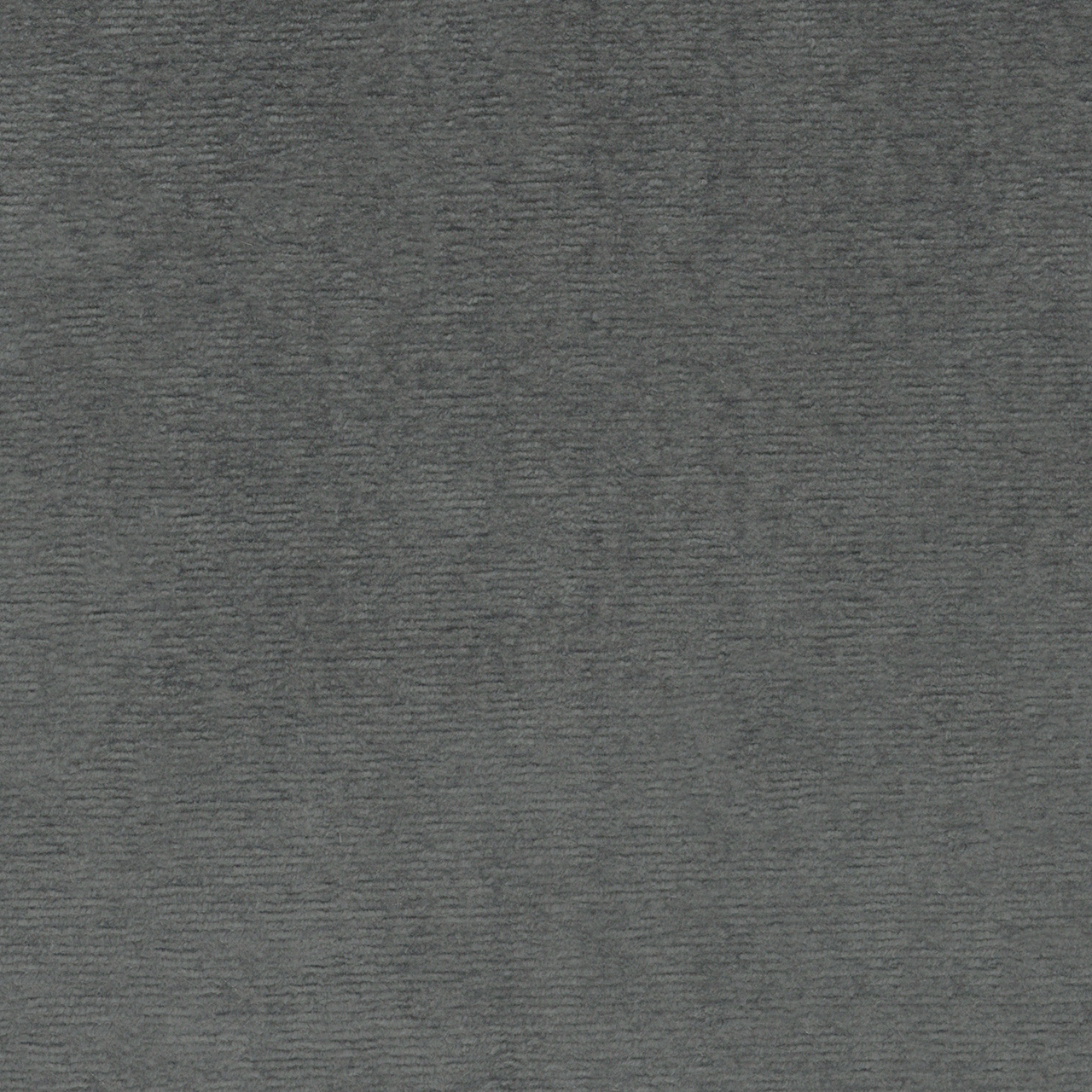 Tansy Charcoal