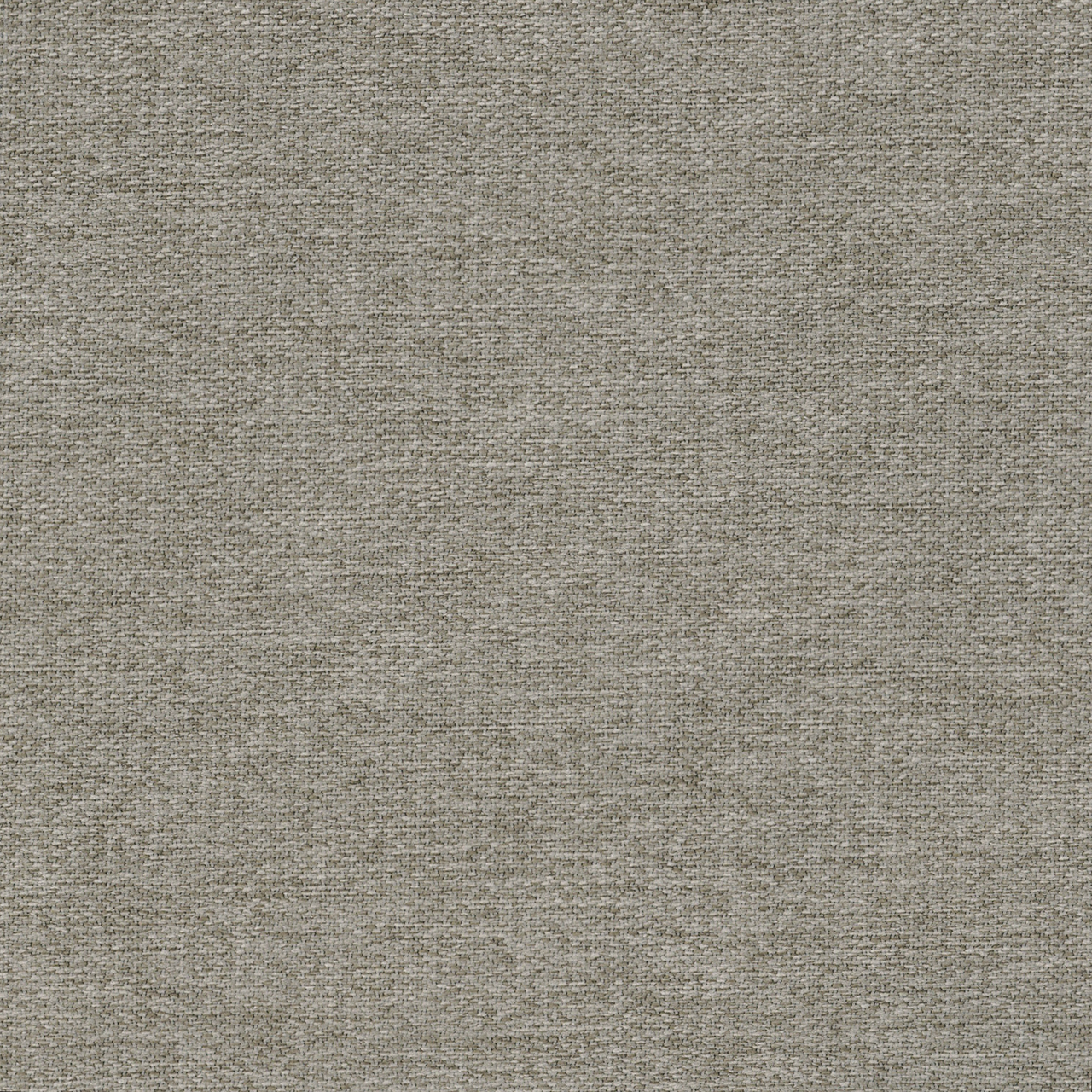 Althea Bark Grey