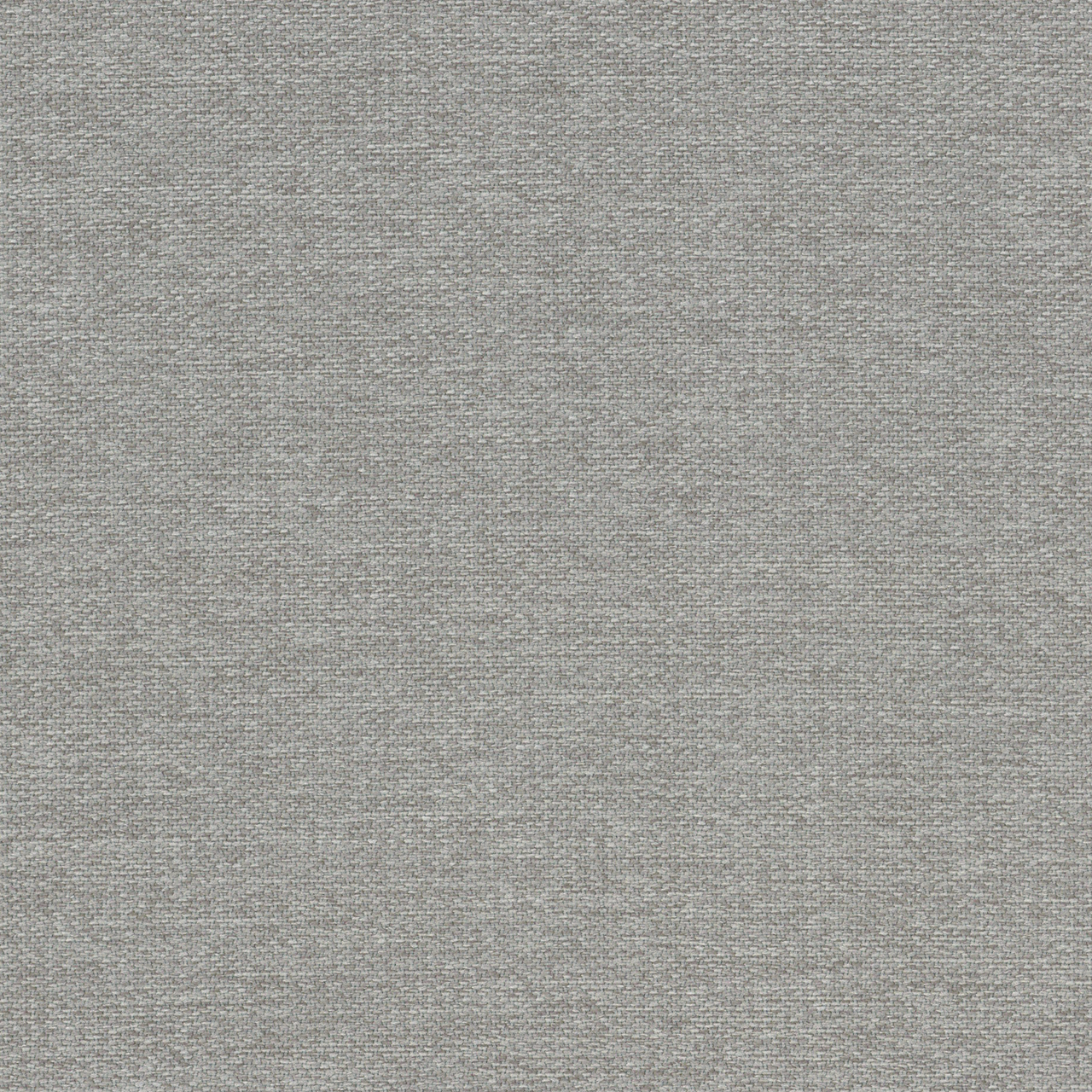 Althea Charcoal