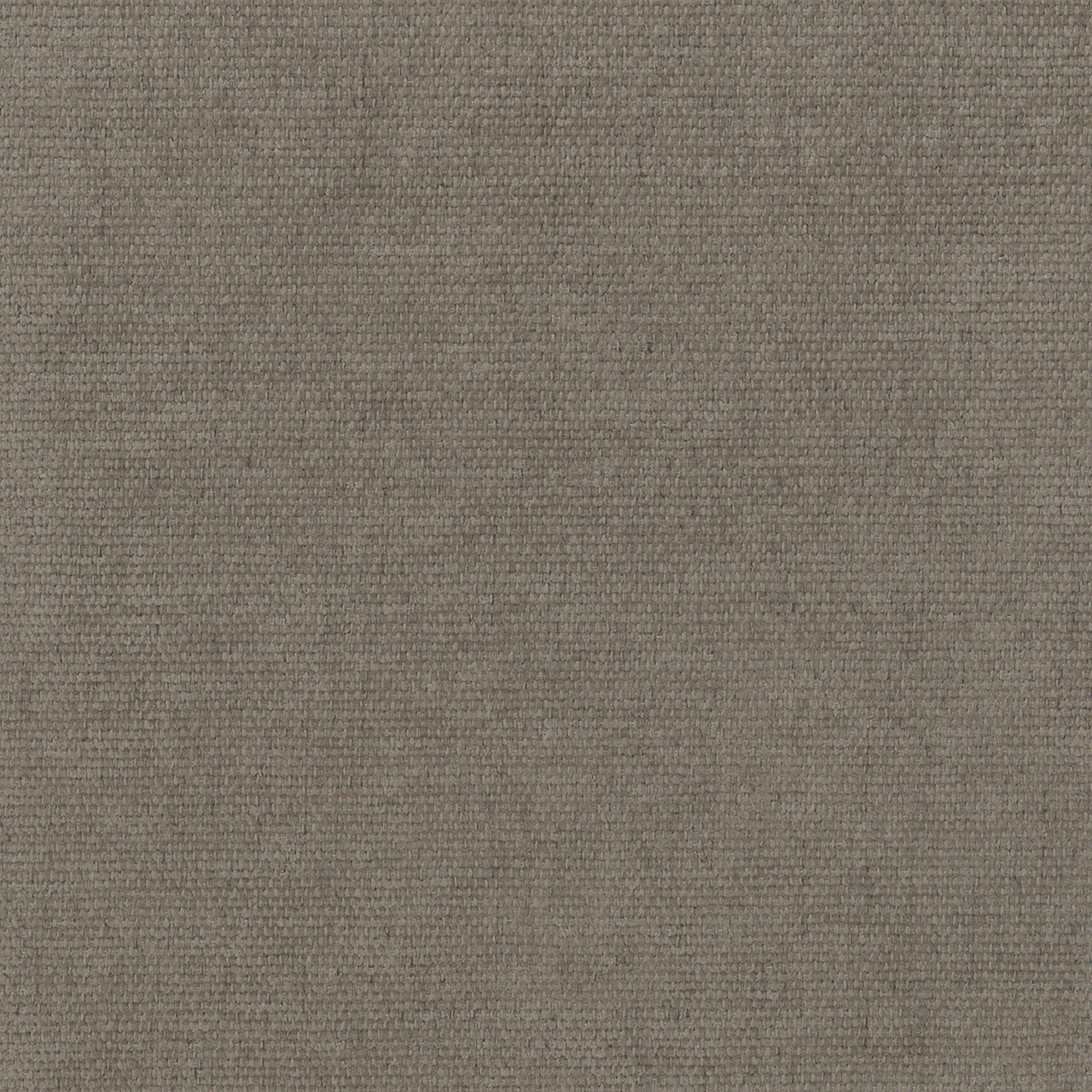 Beryl Warm Grey