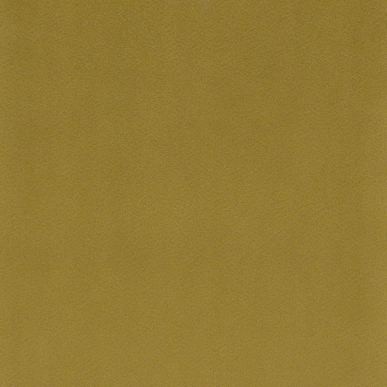 Fjord Mustard