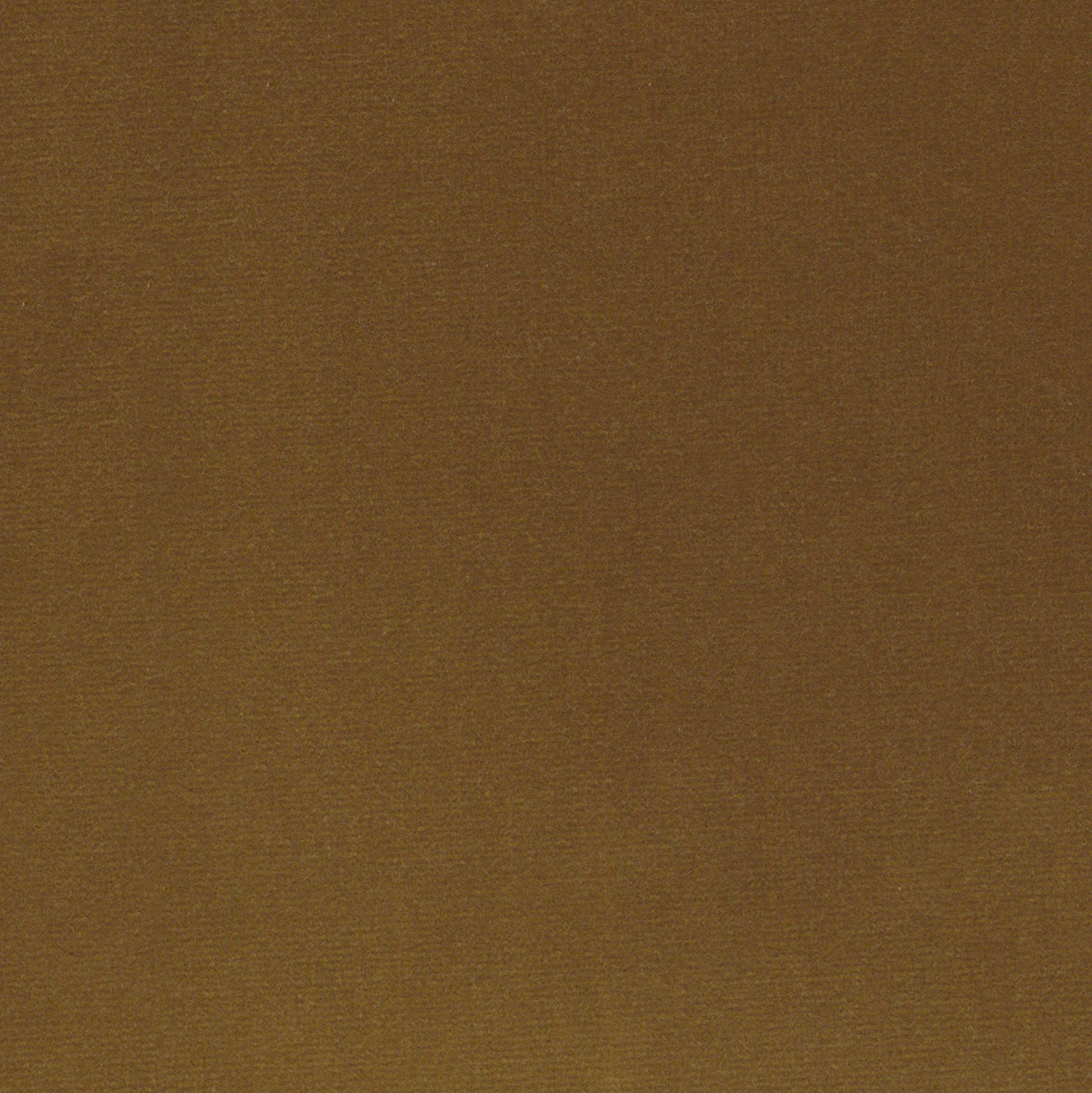 Woven Camel