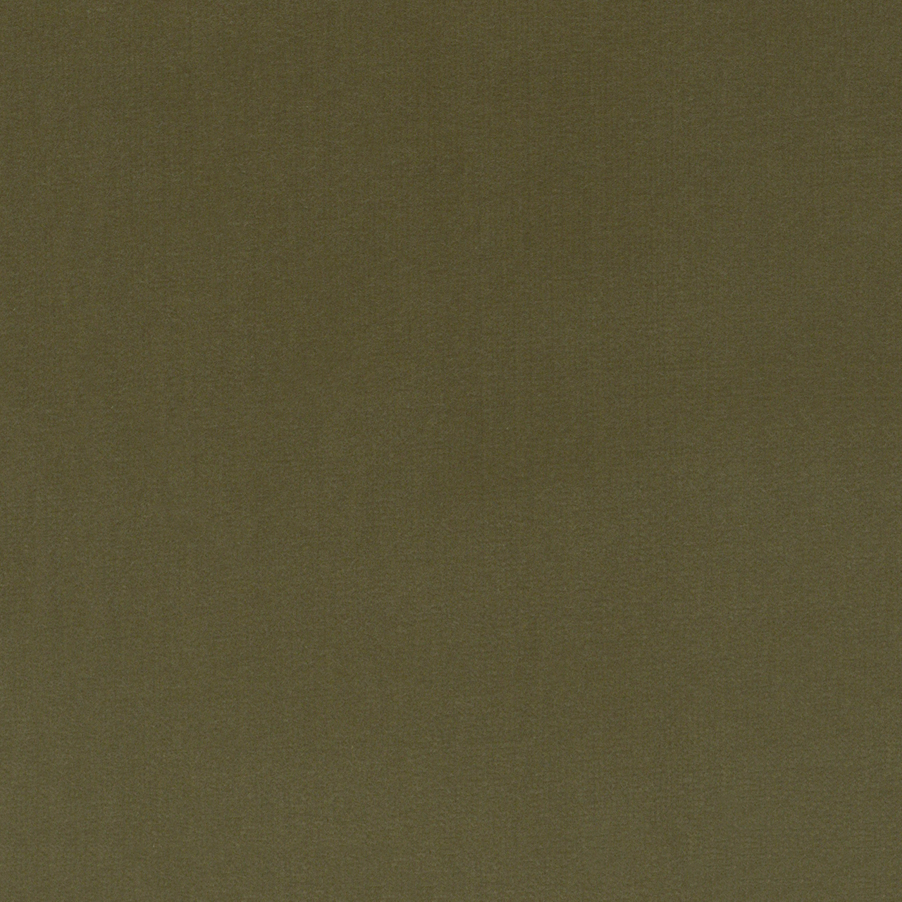 Woven Olive