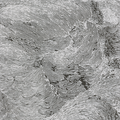 Pace Mid-Grey